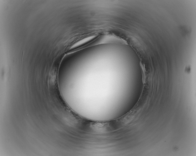 X0000090460129200707272245