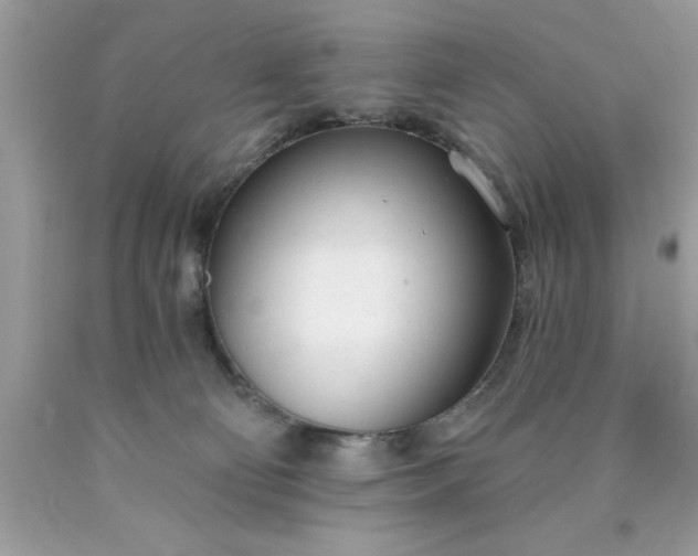 X0000090460130200707272245