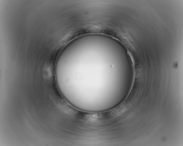 X0000090460131200707272245
