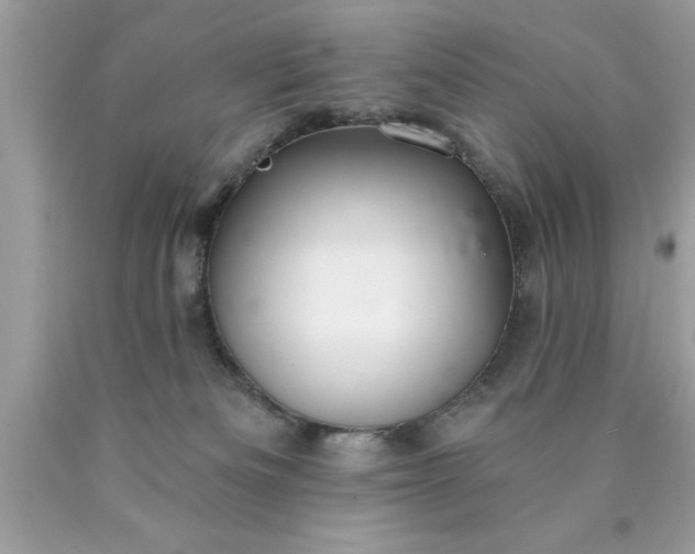 X0000090460133200707272245