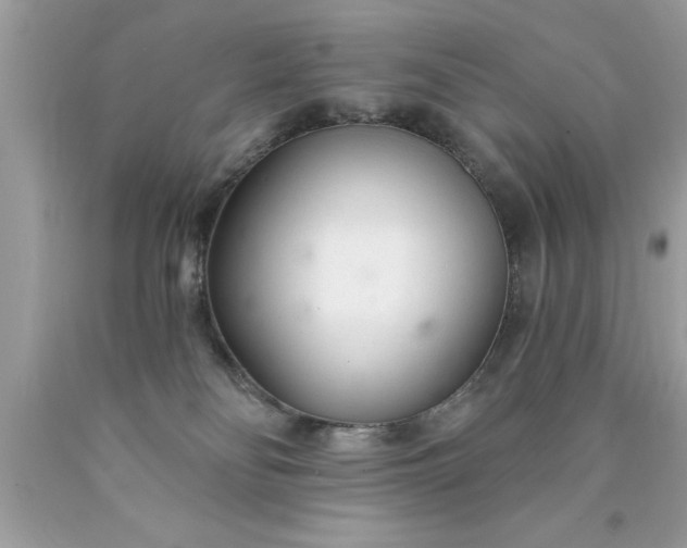 X0000090460134200707272245