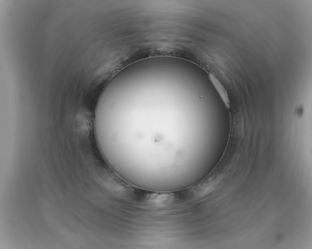 X0000090460135200707272245