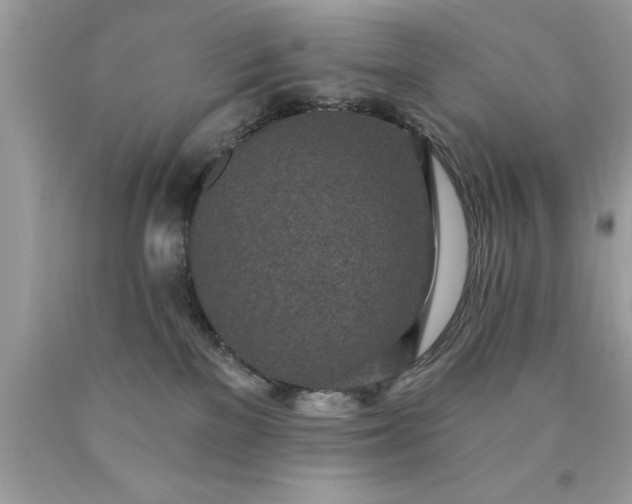 X0000090460137200707272245