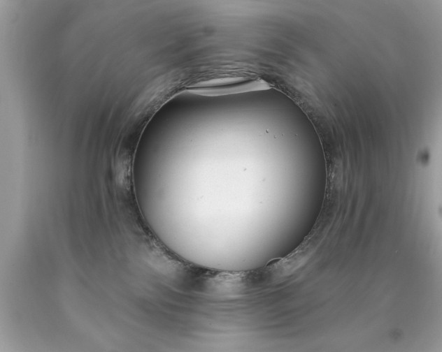 X0000090460138200707272245