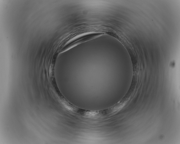 X0000090460139200707272245