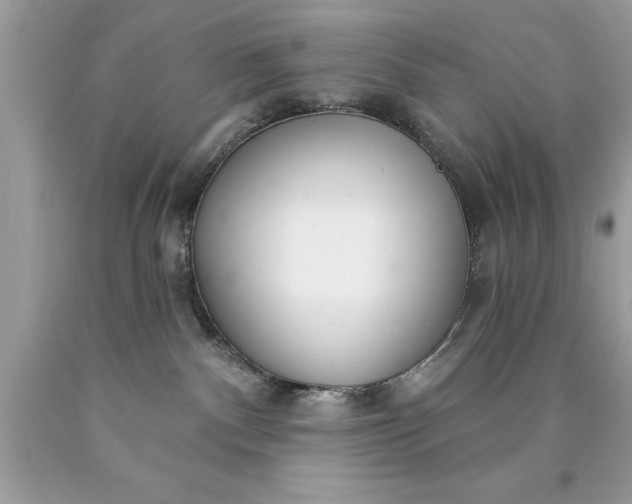 X0000090460140200707272245