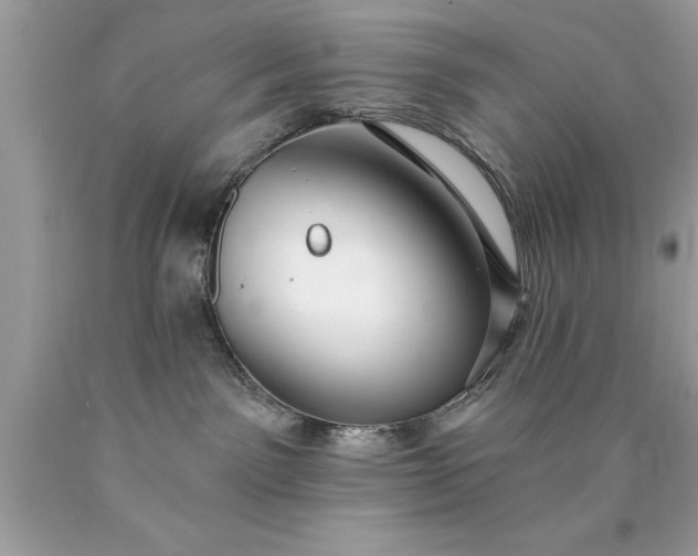 X0000090460141200707272245