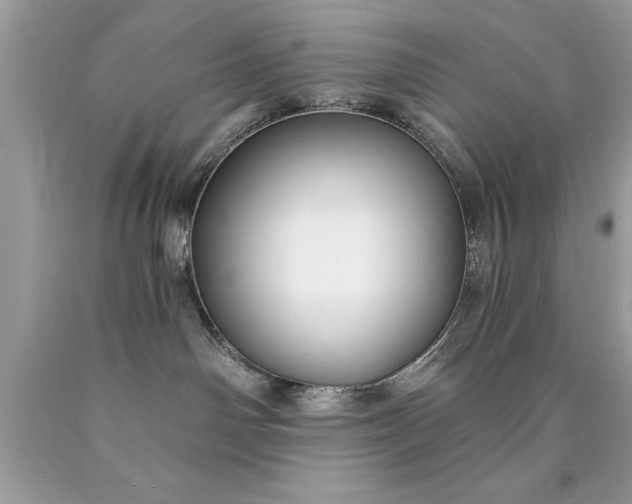 X0000090460142200707272245