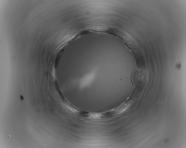 X0000090460143200707272245