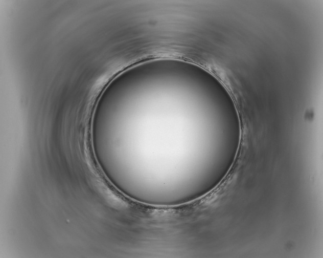 X0000090460145200707272244