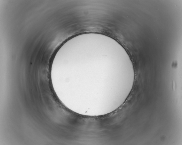 X0000090460146200707272244