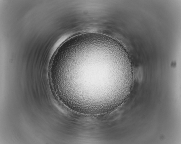 X0000090460147200707272244