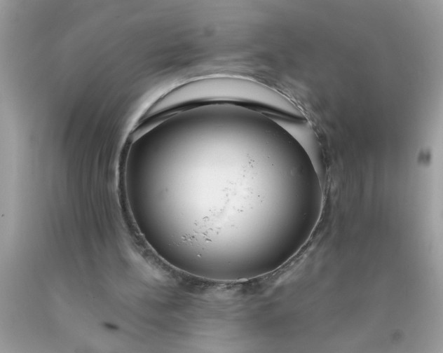 X0000090460148200707272244