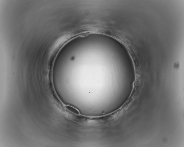X0000090460149200707272244
