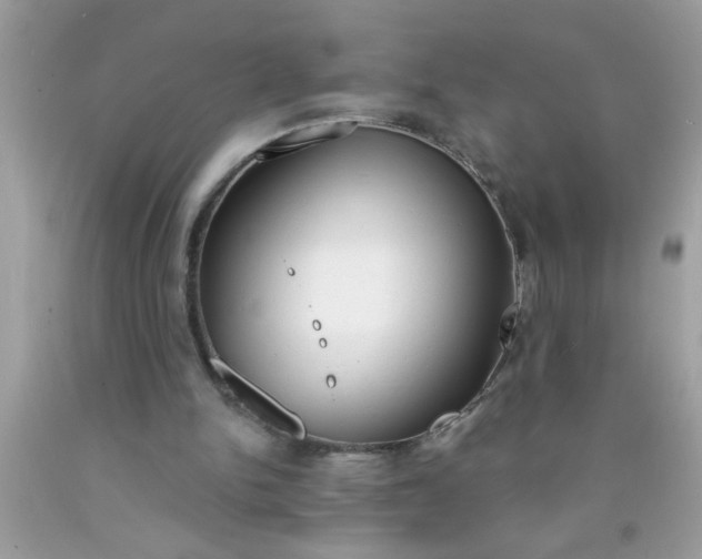X0000090460150200707272244