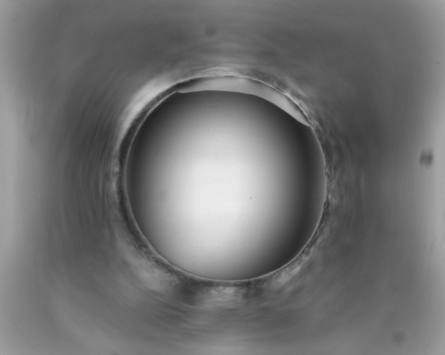 X0000090460152200707272244
