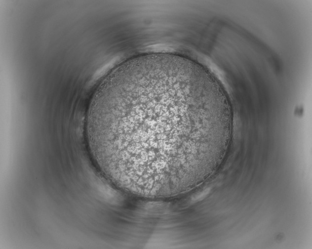 X0000090460153200707272244