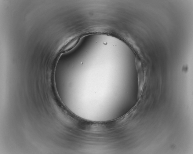 X0000090460154200707272244