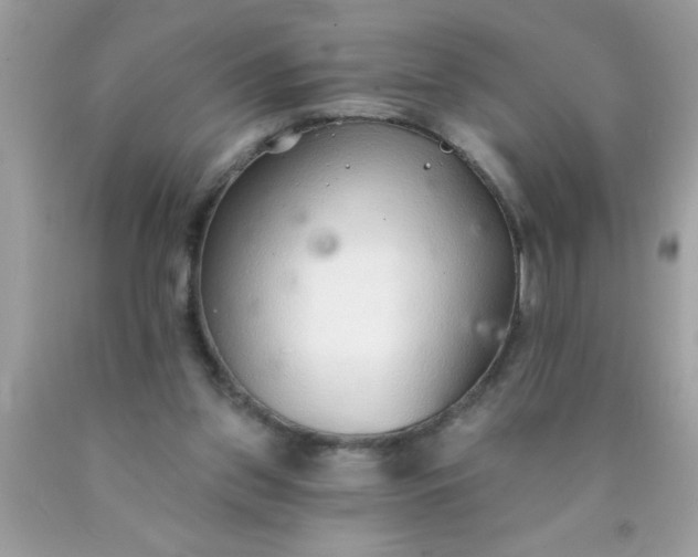 X0000090460157200707272244