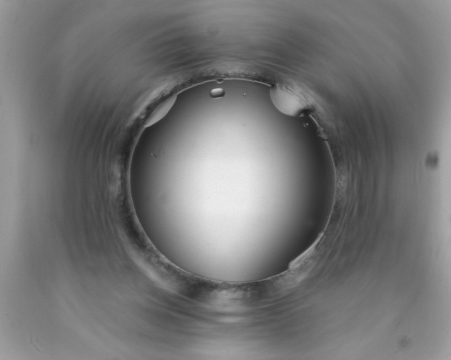 X0000090460158200707272244