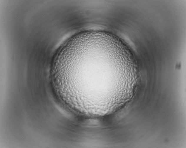 X0000090460159200707272244