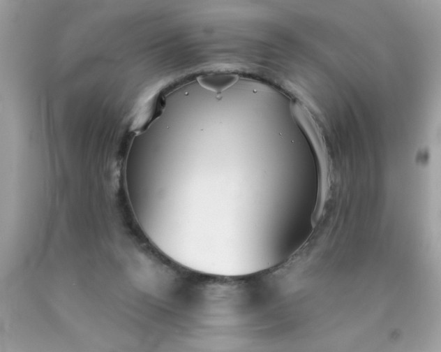 X0000090460160200707272244