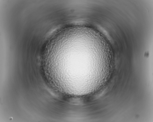 X0000090460161200707272244