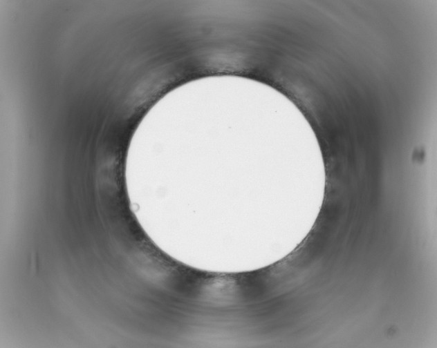 X0000090460162200707272244