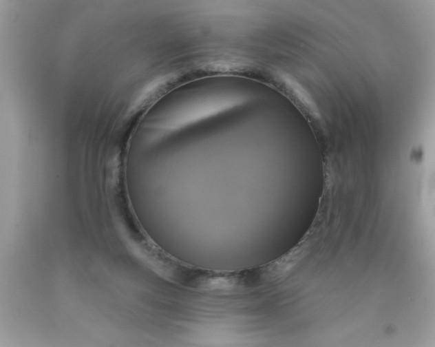 X0000090460163200707272244