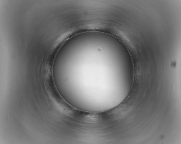 X0000090460164200707272244