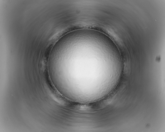 X0000090460165200707272244