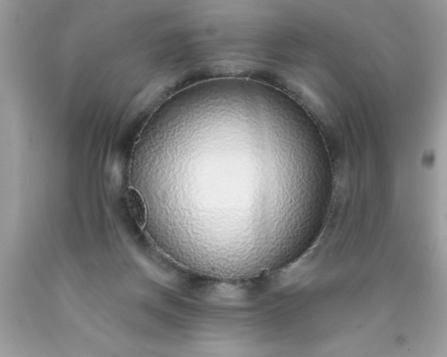 X0000090460166200707272244