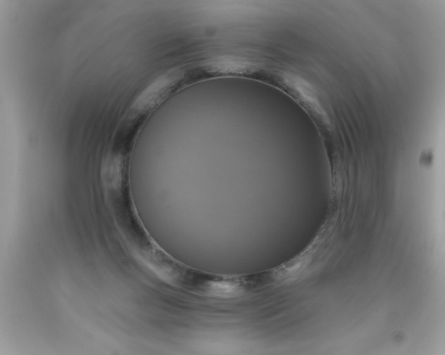 X0000090460167200707272244