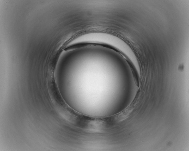 X0000090460168200707272244