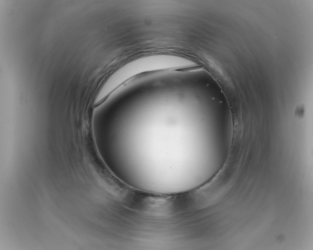 X0000090460170200707272244