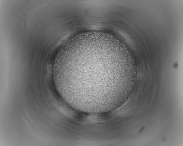 X0000090460171200707272244