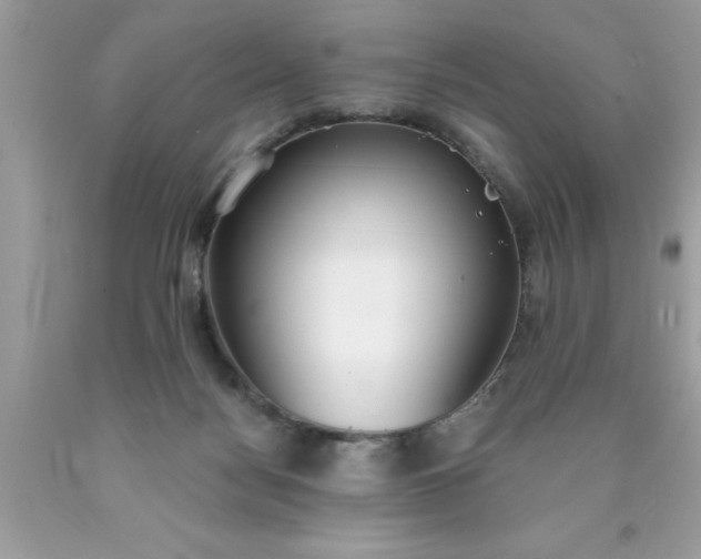 X0000090460172200707272244