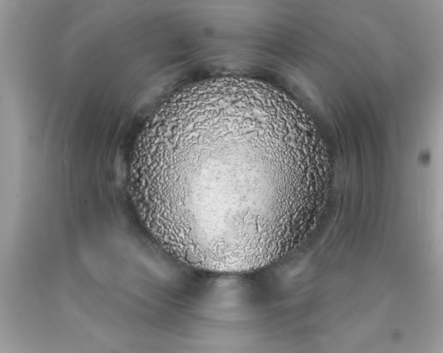 X0000090460173200707272244