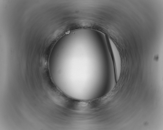 X0000090460176200707272244
