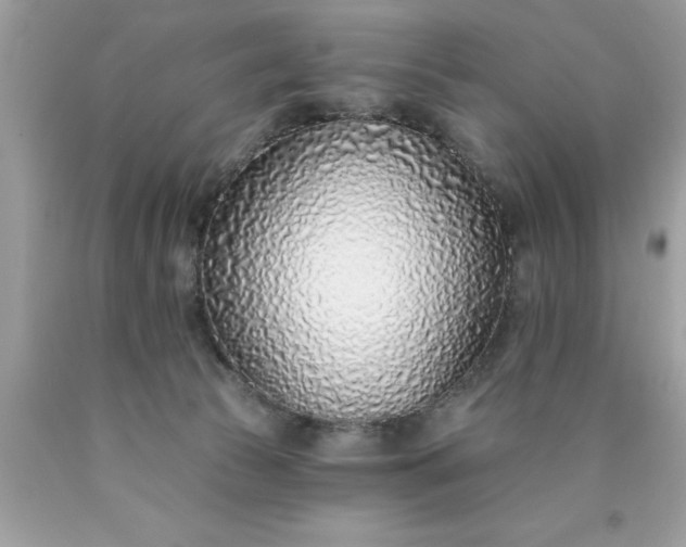 X0000090460177200707272244