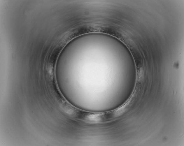 X0000090460178200707272245