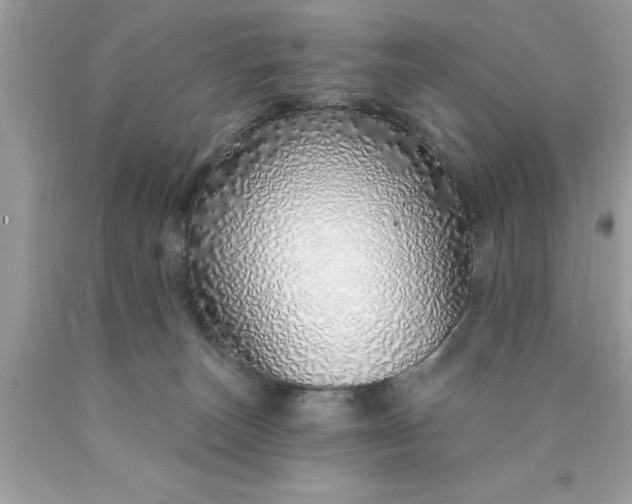 X0000090460179200707272245