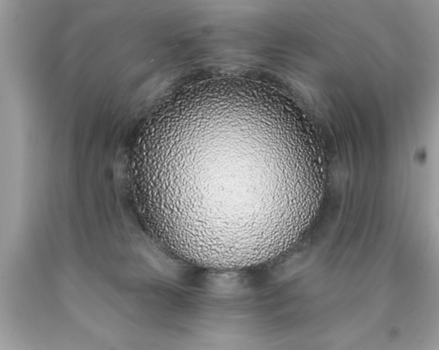 X0000090460181200707272245
