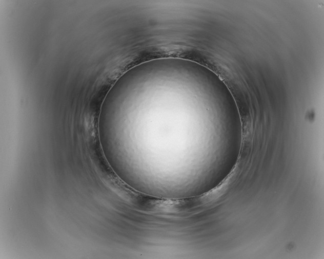 X0000090460182200707272245