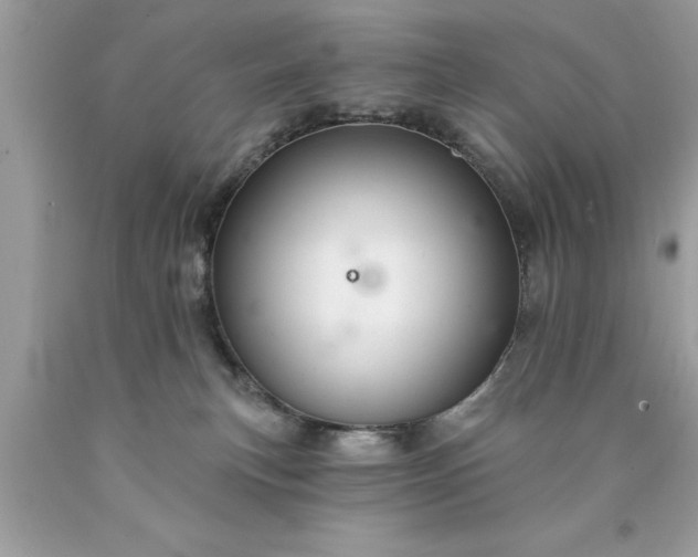 X0000090460183200707272245