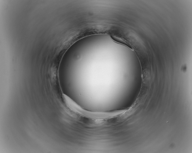 X0000090460184200707272245