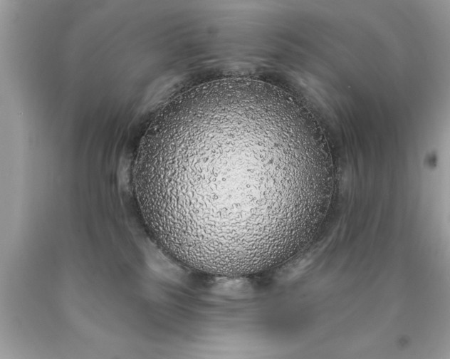 X0000090460185200707272245
