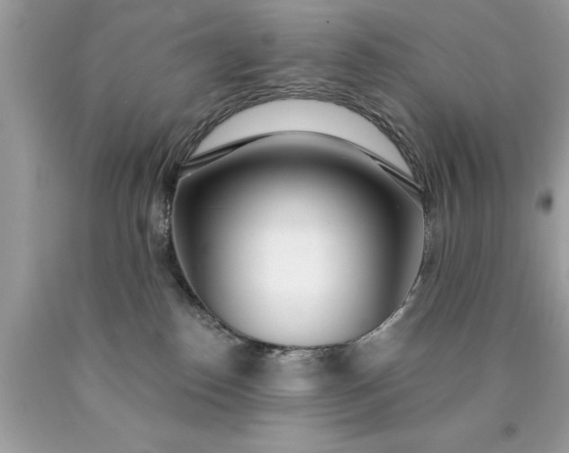 X0000090460186200707272245