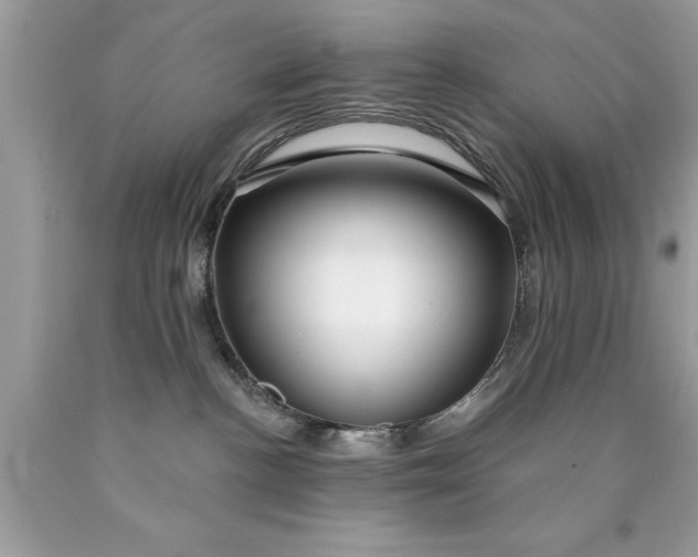 X0000090460188200707272245