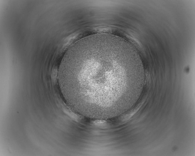 X0000090460189200707272245